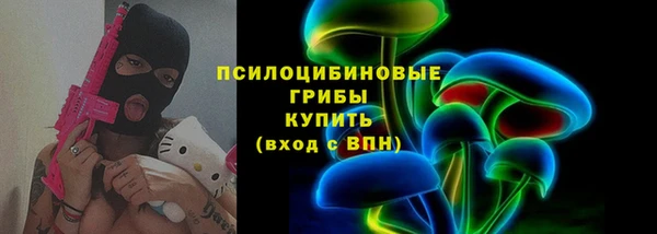 прущий лед Абаза